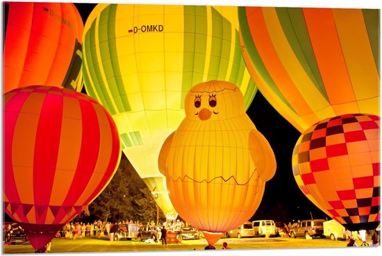 Acrylglas - Luchtballonnen met Eend Luchtballon - 90x60cm Foto op Acrylglas (Met Ophangsysteem)