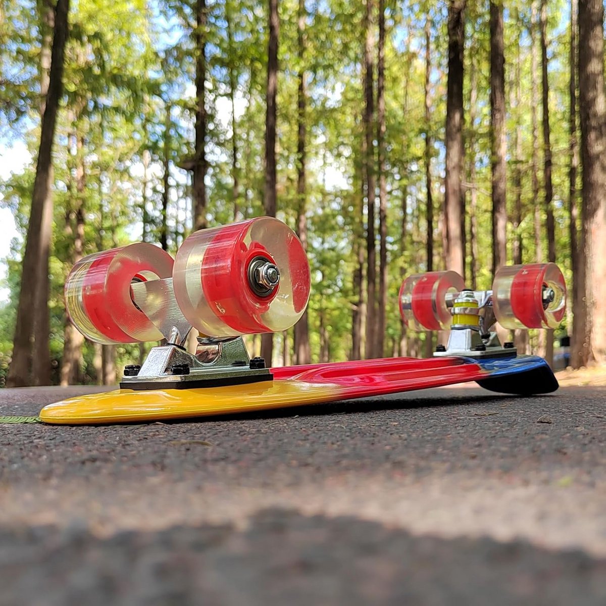 22 inch Cruiser Skateboard Compleet