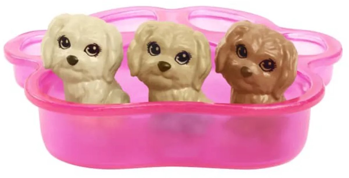 Barbie met Hond en Puppy's - Barbiepop — afbeelding 11