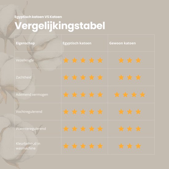 Katoen égyptien - Zwart Taille : 1 personne (140x200/220 cm + 2 taies d'oreiller) (Dreamers Den)