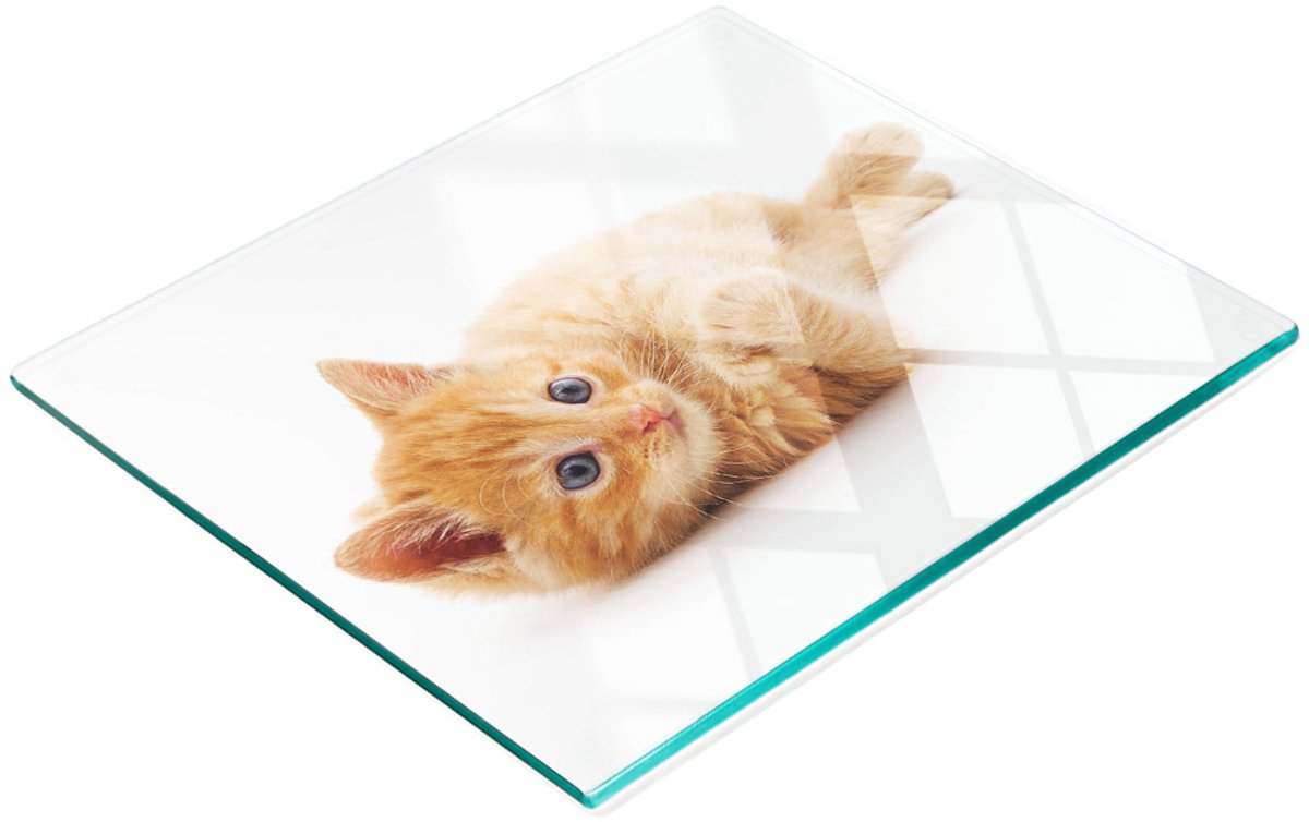 Gehard multifunctioneel decoratief bord van glas met rode kat, 60x52 cm