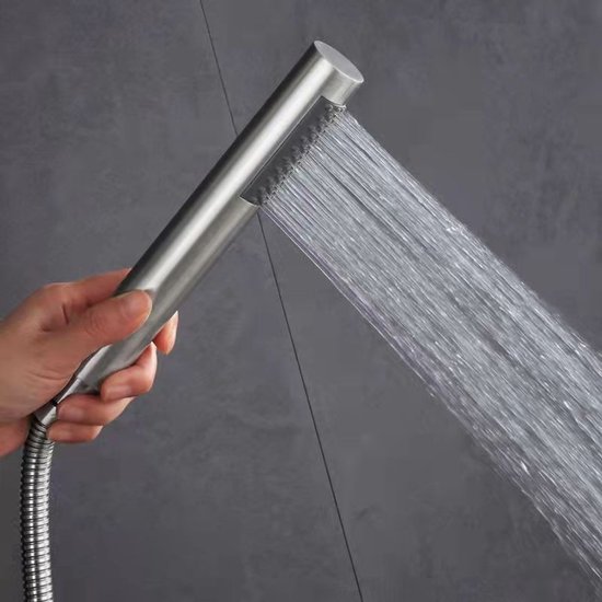 Douchekop met 1.5m slang - Handdouche - Universeel - Waterbesparend - Hoge druk - Anti-knik slang - Geborsteld zilver - RVS en ABS - 19*3 cm - 1/2" schroefdraad
