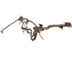 JUNAVERA Perenhout tak 30 tot 60 cm | natuurlijk terrariumdecorstuk met vertakkingen 100% natuurlijk