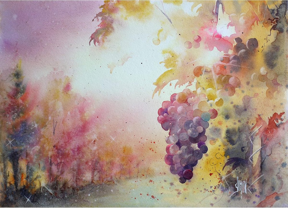 Koudgeperst Aquarelpapier 300g/m² - Vellen 56x76cm met Ongesneden Rand