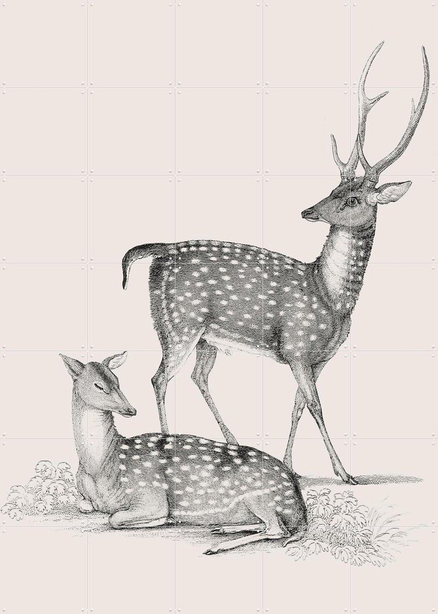 IXXI Deer light, IXXI - 100 x 140 cm - Gratis ophangtool - Grote wanddecoratie en posters - Illustraties, Vintage, Woonkamer, Natuur, Wilde dieren