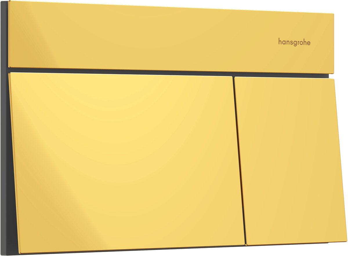 Hansgrohe iFrame Element E - Spoelbediening, gepolijste gouden look 66003990