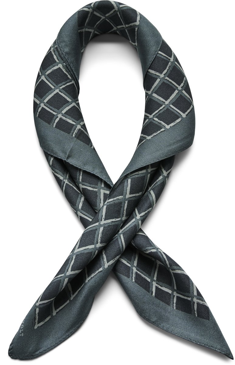 Blake Zijden Brux Halsdoek