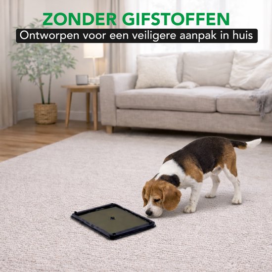 Een beagle snuffelt aan een lijmval op een licht tapijt, naast een bank. De tekst luidt 'Zonder gifstoffen'.