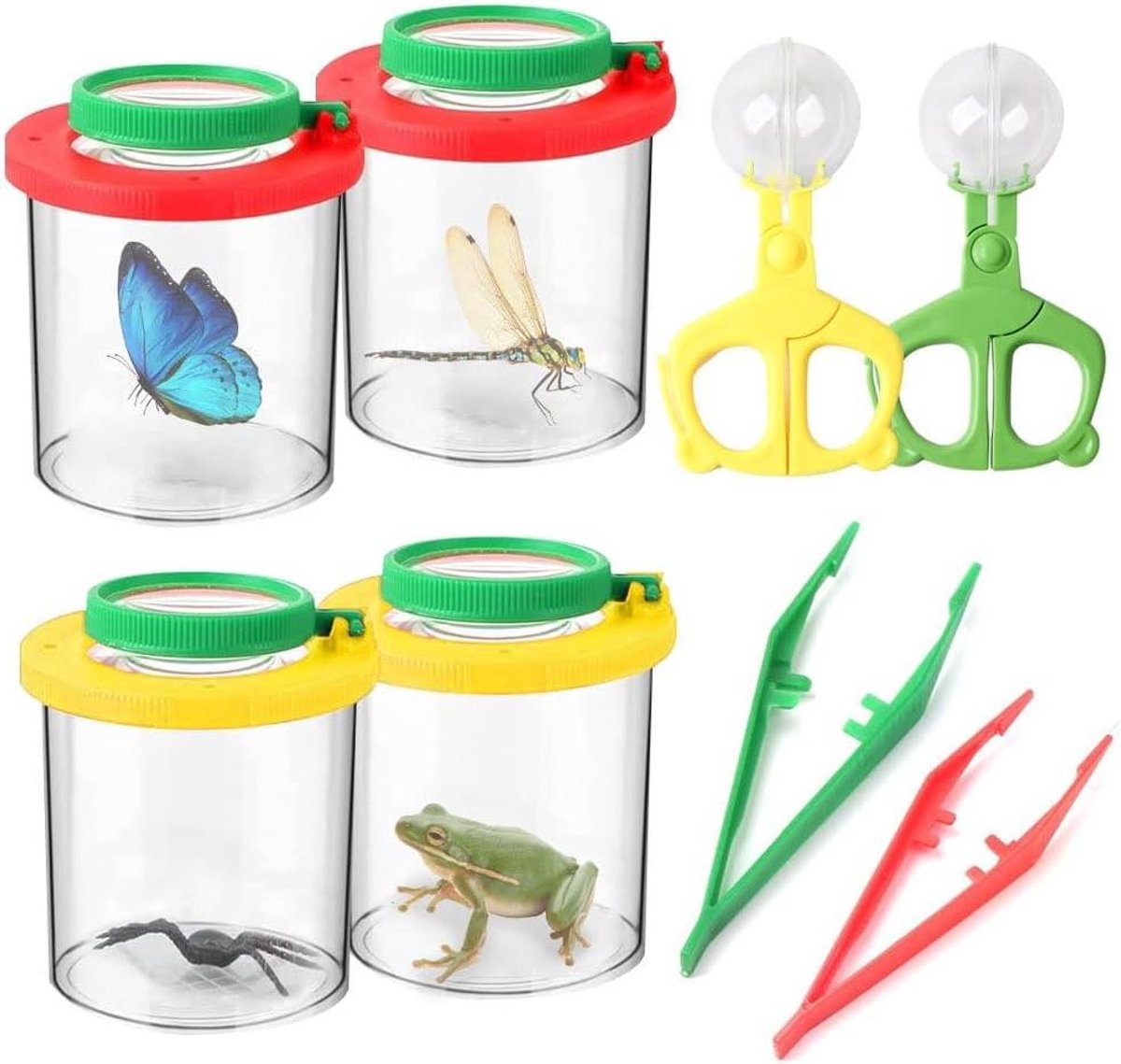 Bekervergrootglas voor kinderen, insectenbox, pincet - 12 stuks