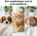 Chiot, chat et lapin endormis sur une couverture douce.