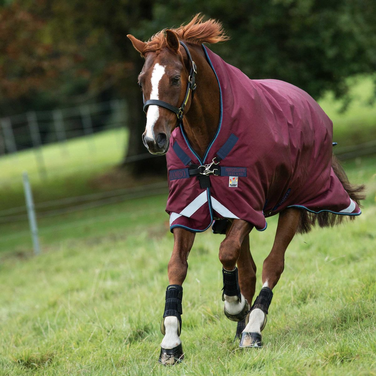 Rambo Wug Weide Medium 200g-Bordeaux-155-205