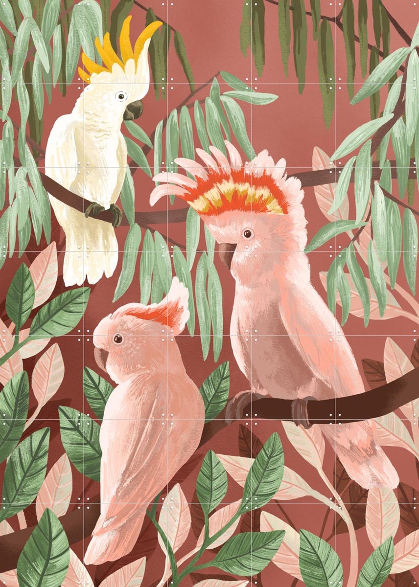 IXXI Cockatoos, Goed Blauw - 100 x 140 cm - Gratis ophangtool - Grote wanddecoratie en posters - Speels, Illustraties, Woonkamer, Vogels, Tropisch