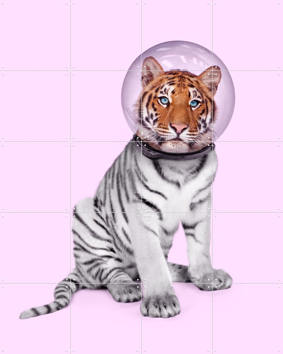 IXXI Space Tiger, Paul Fuentes - 80 x 100 cm - Gratis ophangtool - Grote wanddecoratie en posters - Surrealisme, Illustraties, Kleurrijk, Speels, Pop