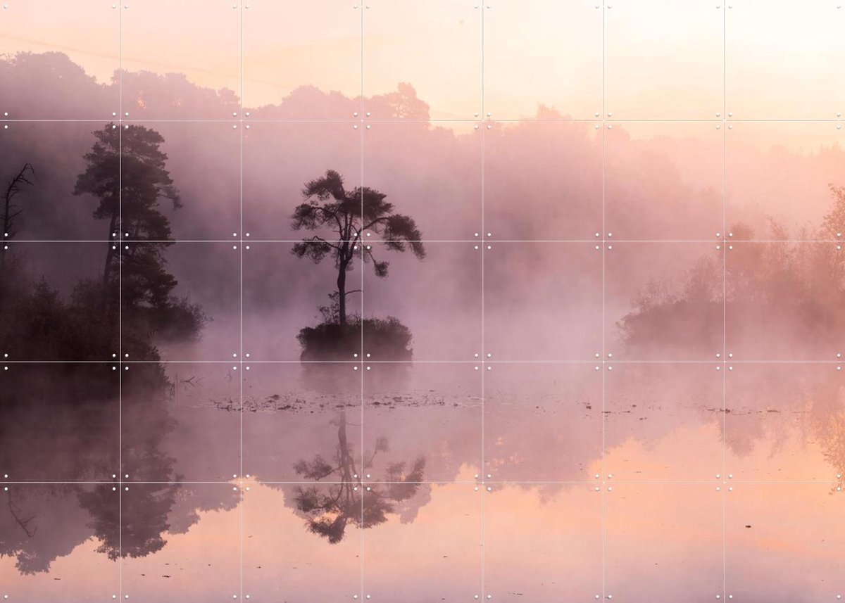 IXXI Lonely Tree in Oisterwijk, Made by IXXI - 140 x 100 cm - Gratis ophangtool - Grote wanddecoratie en posters - Fotografie, Woonkamer