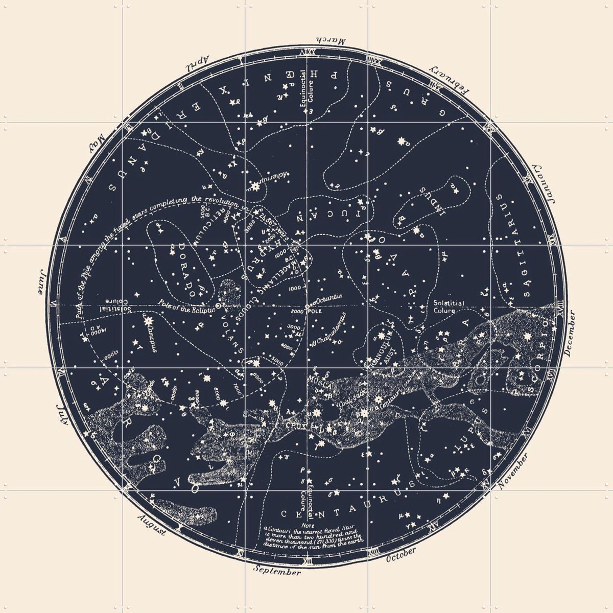 IXXI Southern Constellations, Aster Edition - 100 x 100 cm - Gratis ophangtool - Grote wanddecoratie en posters - Technische Tekening, Vintage