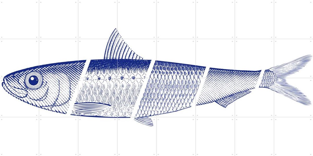IXXI Blue Fish, Hip en Hanneke - 160 x 80 cm - Gratis ophangtool - Grote wanddecoratie en posters - Illustraties, Grafisch Ontwerp, Houtsnede, Line