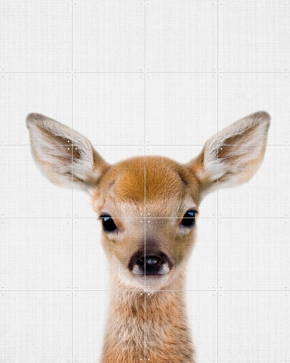 IXXI Roe, Lila + Lola - 80 x 100 cm - Gratis ophangtool - Grote wanddecoratie en posters - Grafisch Ontwerp, Minimalisme, Fotografie, Kinderkamer