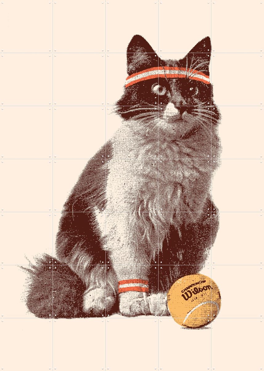 IXXI Chat Tennis, Florent Bodart - 100 x 140 cm - Gratis ophangtool - Grote wanddecoratie en posters - Kleurrijk, Speels, Pop art, Illustraties