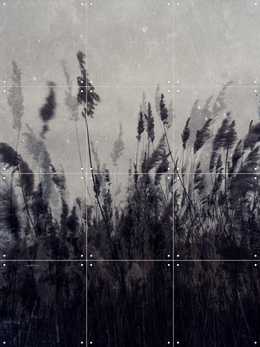 IXXI Waving Grass, Photolovers - 60 x 80 cm - Gratis ophangtool - Grote wanddecoratie en posters - Fotografie, Abstract, Vintage, Minimalisme