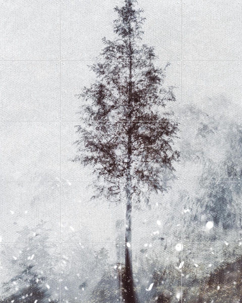 IXXI Winter Tree, Photolovers - 80 x 100 cm - Gratis ophangtool - Grote wanddecoratie en posters - Fotografie, Minimalisme, Woonkamer, Slaapkamer