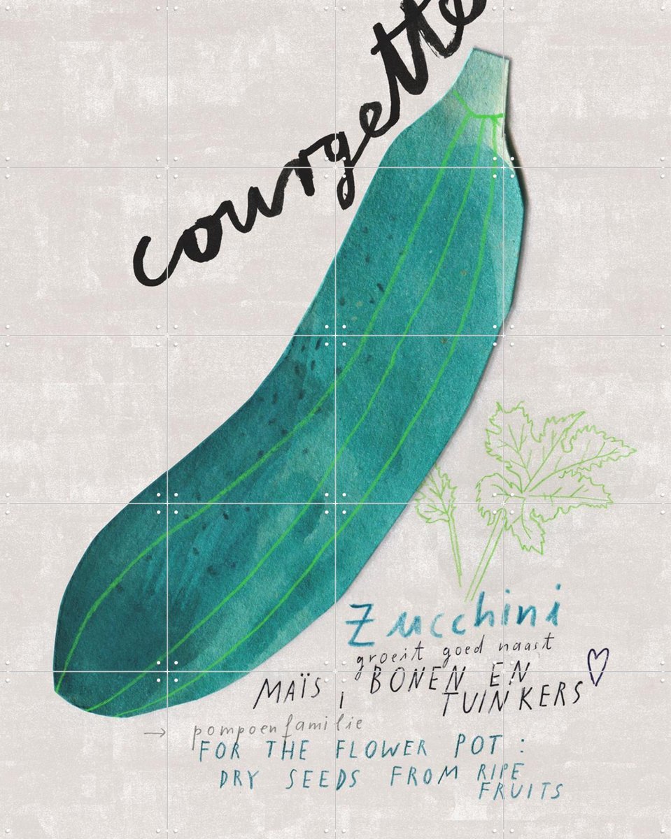 IXXI Courgette NL, Signorinah - 80 x 100 cm - Gratis ophangtool - Grote wanddecoratie en posters - Speels, Illustraties, Keuken, Eetkamer, Voedsel