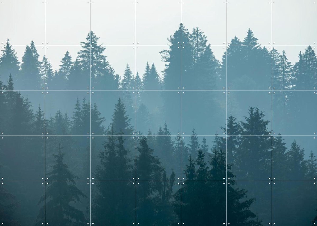 IXXI Mystical Forest, Claire Droppert - 140 x 100 cm - Gratis ophangtool - Grote wanddecoratie en posters - Realisme, Abstract, Surrealisme