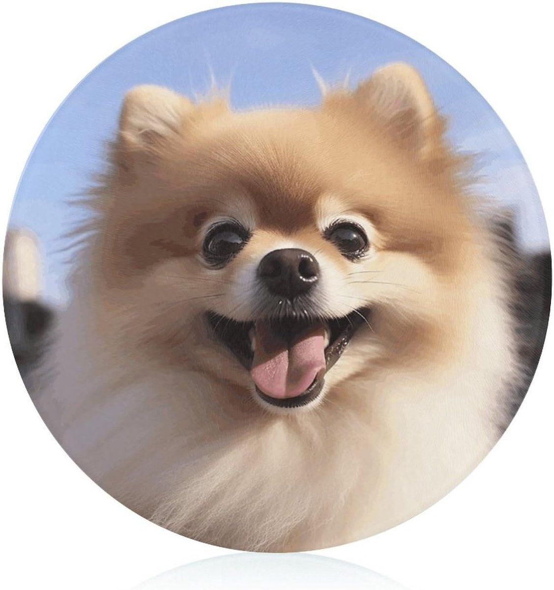 Snijplank - Keukenplank - Fruit Snijden - Gehard Glas - 20 cm Rond - Happy Pomeranian