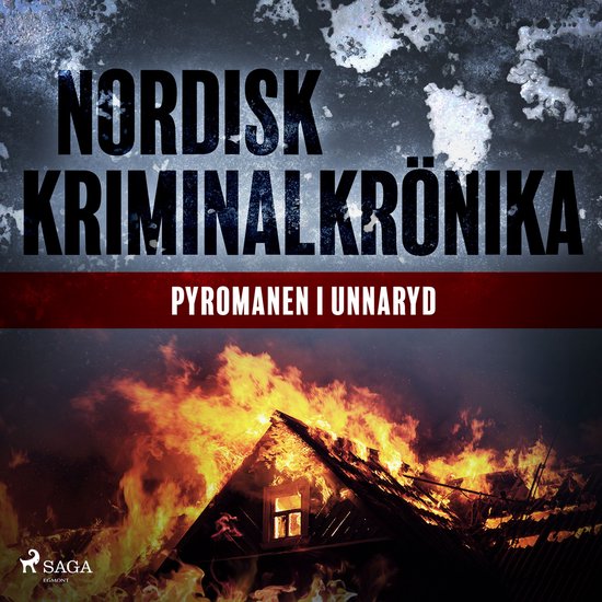 Pyromanen i Unnaryd - cover