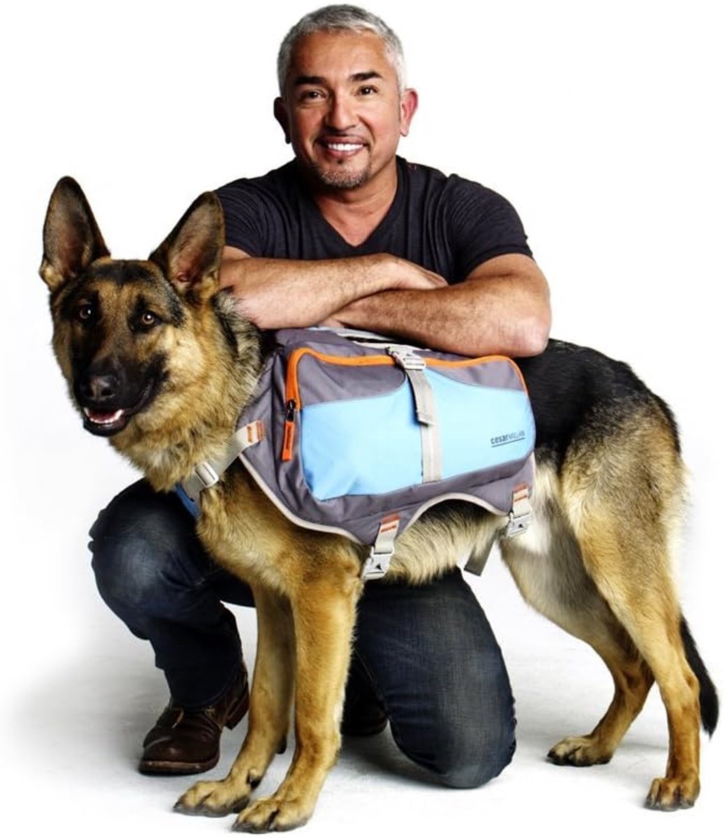 Honden Rugzak - Draagtas Hond - Actieve Wandelingen - Gewicht op Schouders - Maat L - Blauw Grijs