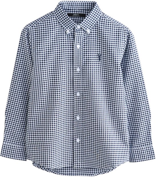 Blauw-wit gingham overhemd met lange mouwen en knoopsluiting, voorzien van NEXT-label en een klein geborduurd logo.