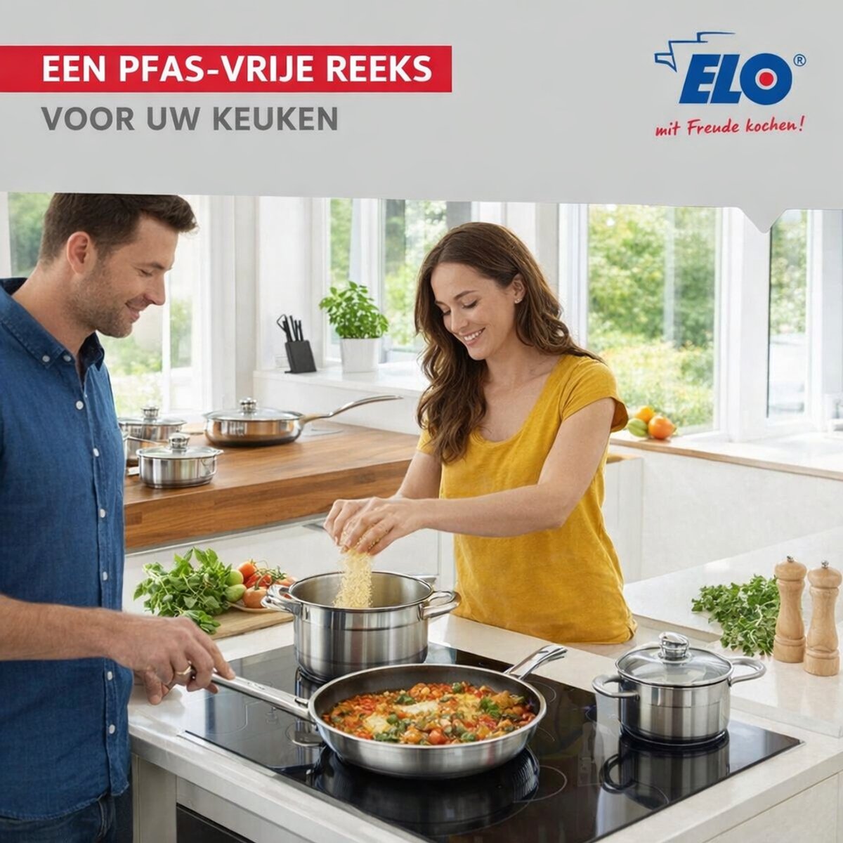 Set van 2 Bakpannen 28 en 32 cm en 4 Kookpotten 12, 14, 16 en 20 cm Elo Profi Brillant