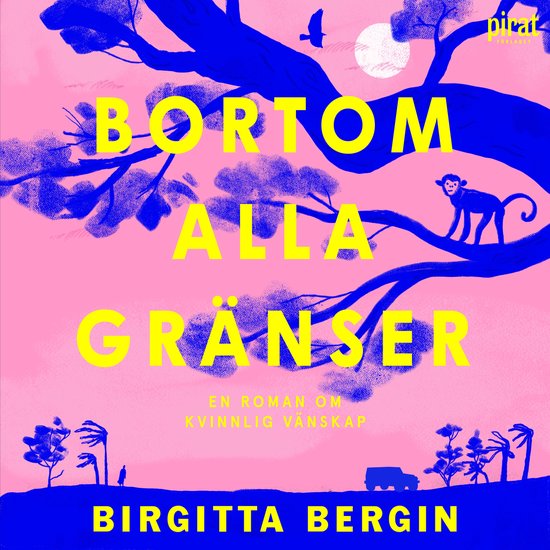 Bortom alla gränser - cover