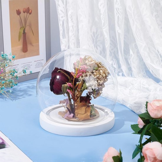 Glazen Dome Presentatiekoepel met Witte Basis voor Decoratie | bol