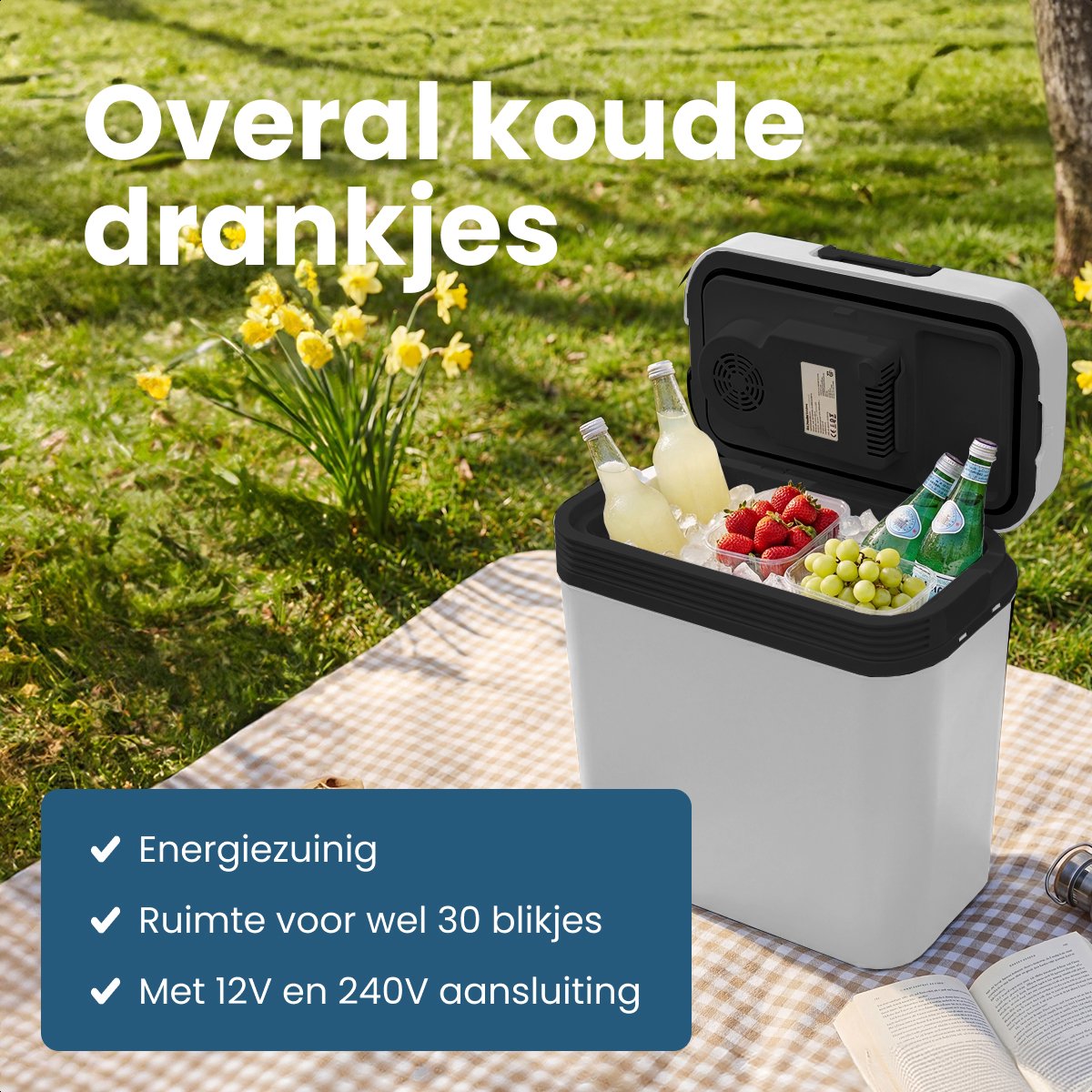 Auronic Koelbox Elektrisch 12V en 230 volt - 20L - Camping Koelkast - Auto - Koelen en Verwarmen - Frigobox - Lichtgrijs – foto 2