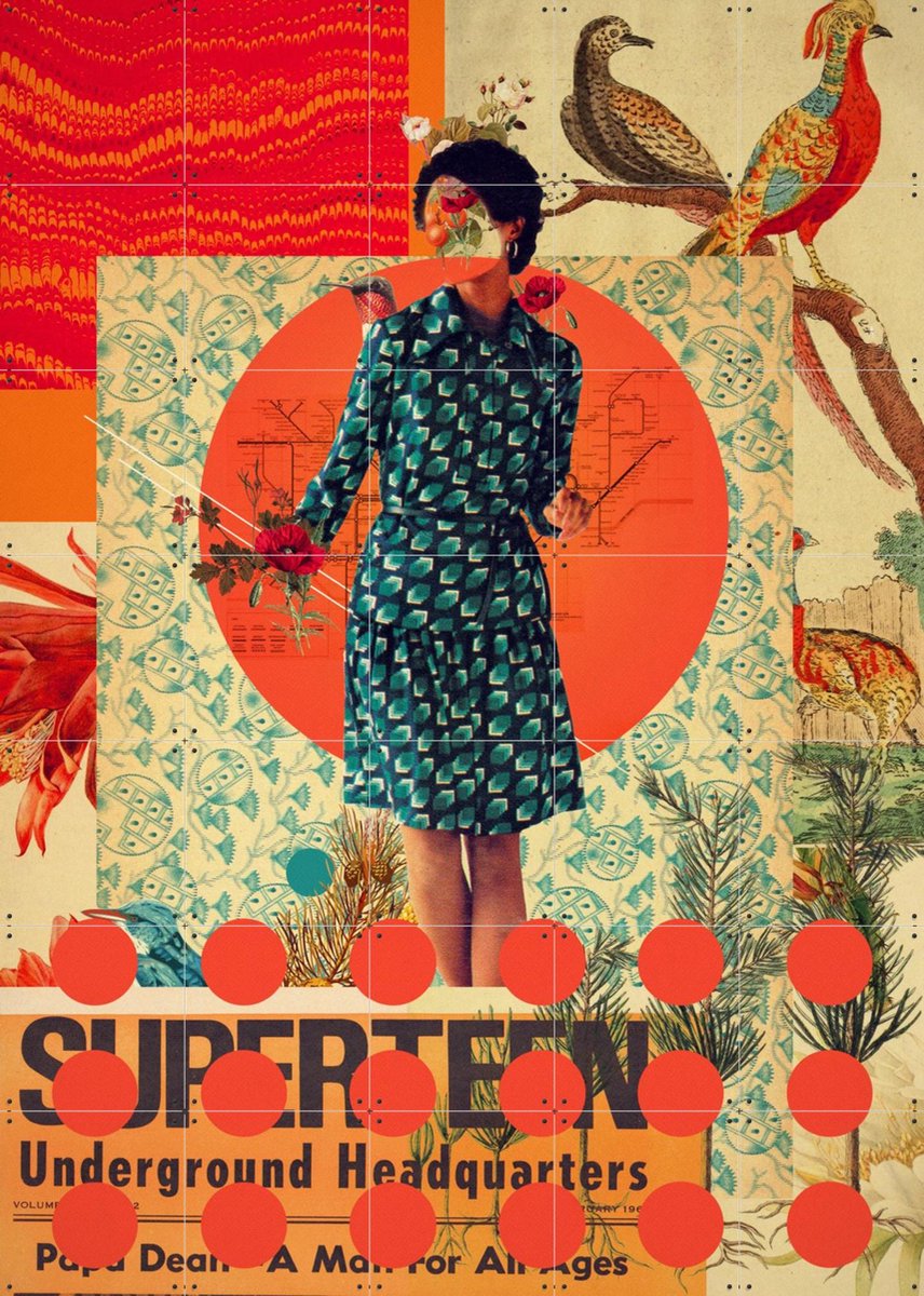 IXXI Superteen, Frank Moth - 100 x 140 cm - Gratis ophangtool - Grote wanddecoratie en posters - Vintage, Kleurrijk, Vogels