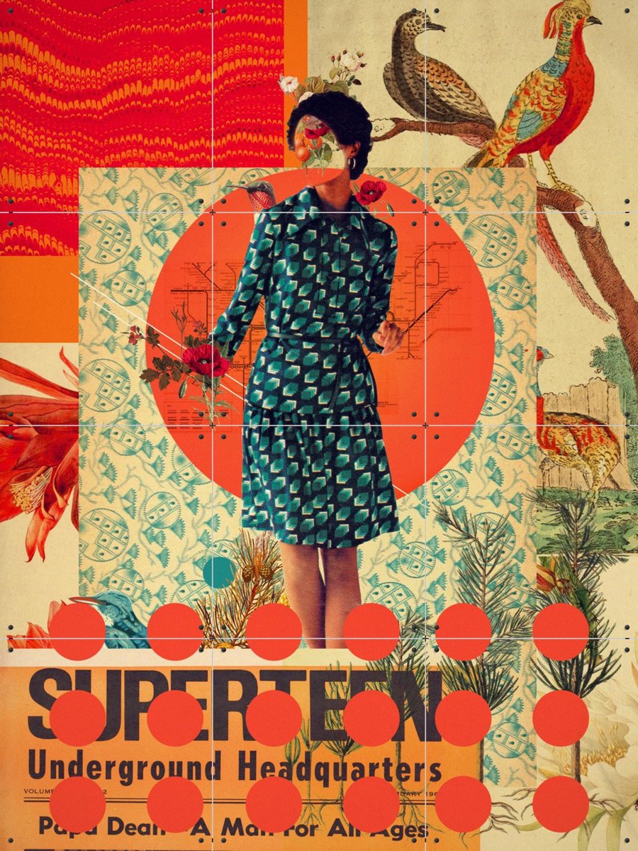 IXXI Superteen, Frank Moth - 60 x 80 cm - Gratis ophangtool - Grote wanddecoratie en posters - Vintage, Kleurrijk, Vogels