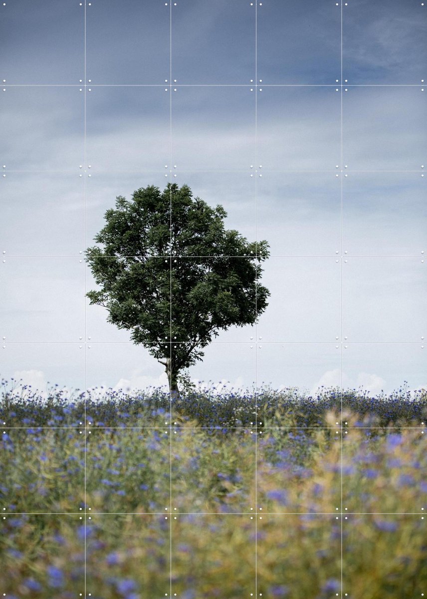 IXXI Summer Meadow, Mareike Böhmer - 100 x 140 cm - Gratis ophangtool - Grote wanddecoratie en posters - Fotografie, Kleurrijk, Natuur, Zomer