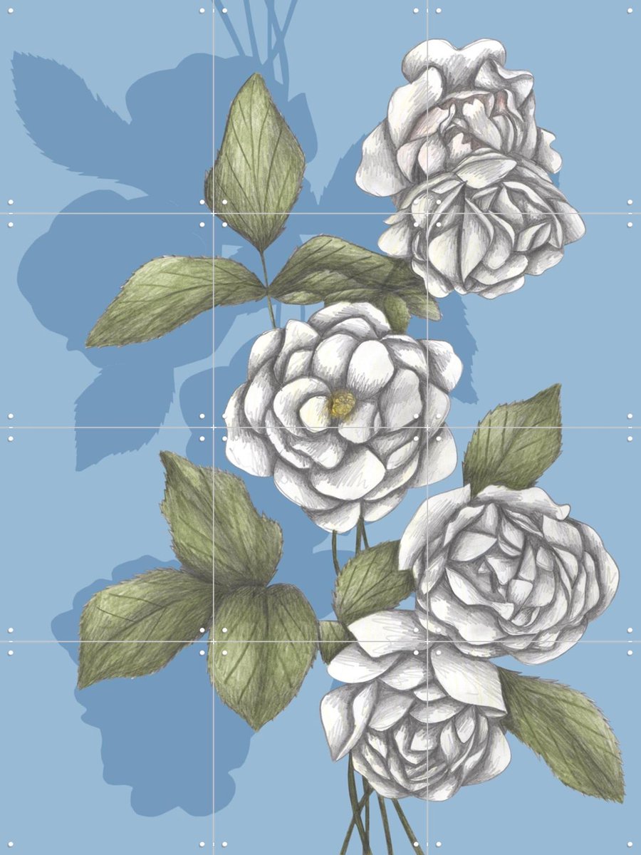 IXXI White Roses, Cecilia Battaini - 60 x 80 cm - Gratis ophangtool - Grote wanddecoratie en posters - Tekeningen, Naturalisme, Illustraties