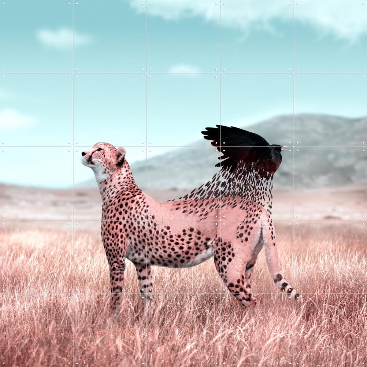 IXXI New Flight, Julien Tabet - 100 x 100 cm - Gratis ophangtool - Grote wanddecoratie en posters - Fotografie, Wilde dieren, Natuur