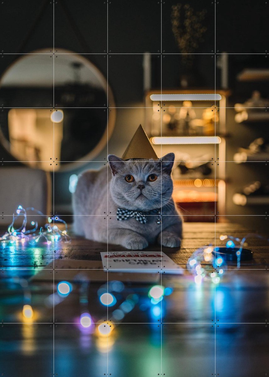 IXXI Birthday Cat, Tristan Zhou - 100 x 140 cm - Gratis ophangtool - Grote wanddecoratie en posters - Speels, Fotografie, Mancave, Kinderkamer