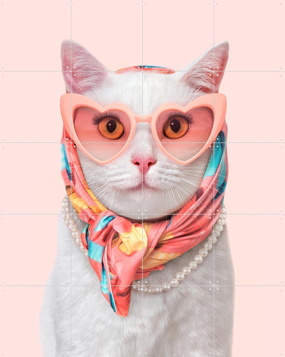 IXXI Fashion Cat, Paul Fuentes - 80 x 100 cm - Gratis ophangtool - Grote wanddecoratie en posters - Fotografie, Kleurrijk, Illustraties, Pop art