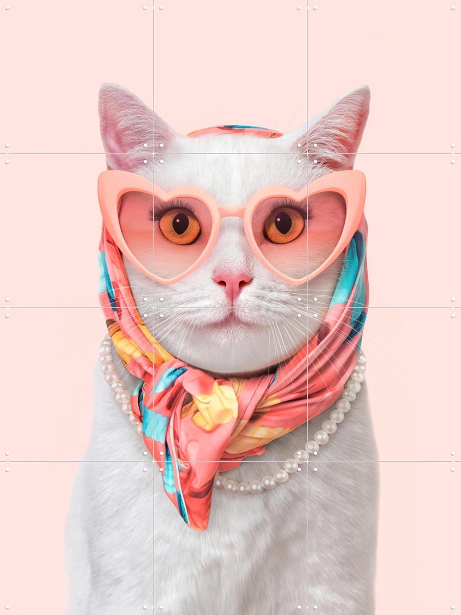 IXXI Fashion Cat, Paul Fuentes - 60 x 80 cm - Gratis ophangtool - Grote wanddecoratie en posters - Fotografie, Kleurrijk, Illustraties, Pop art