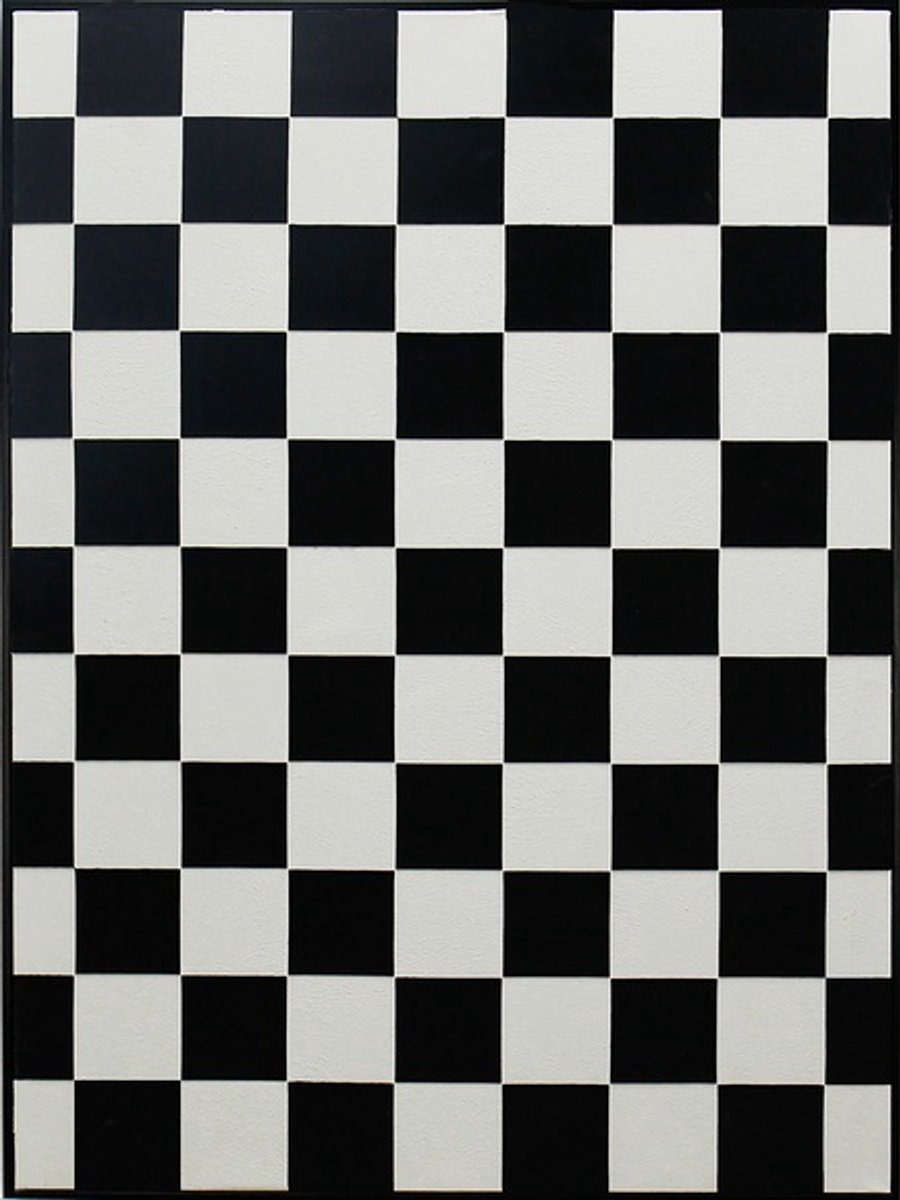Schilderij illusie zwart/wit