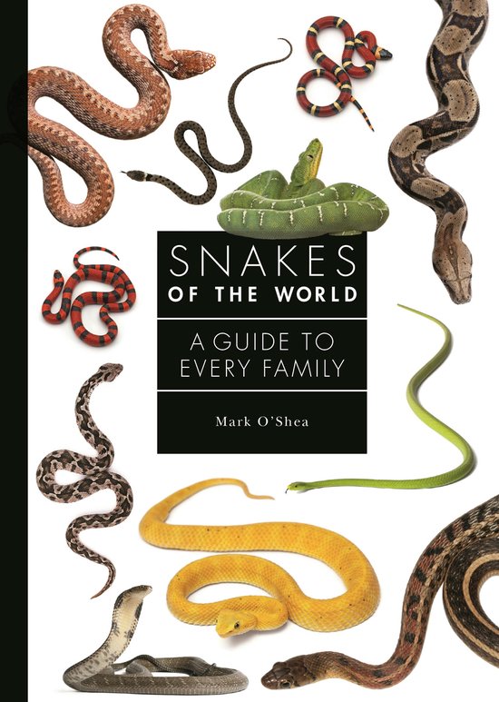 A Guide to Every Family- Snakes of the World - cover