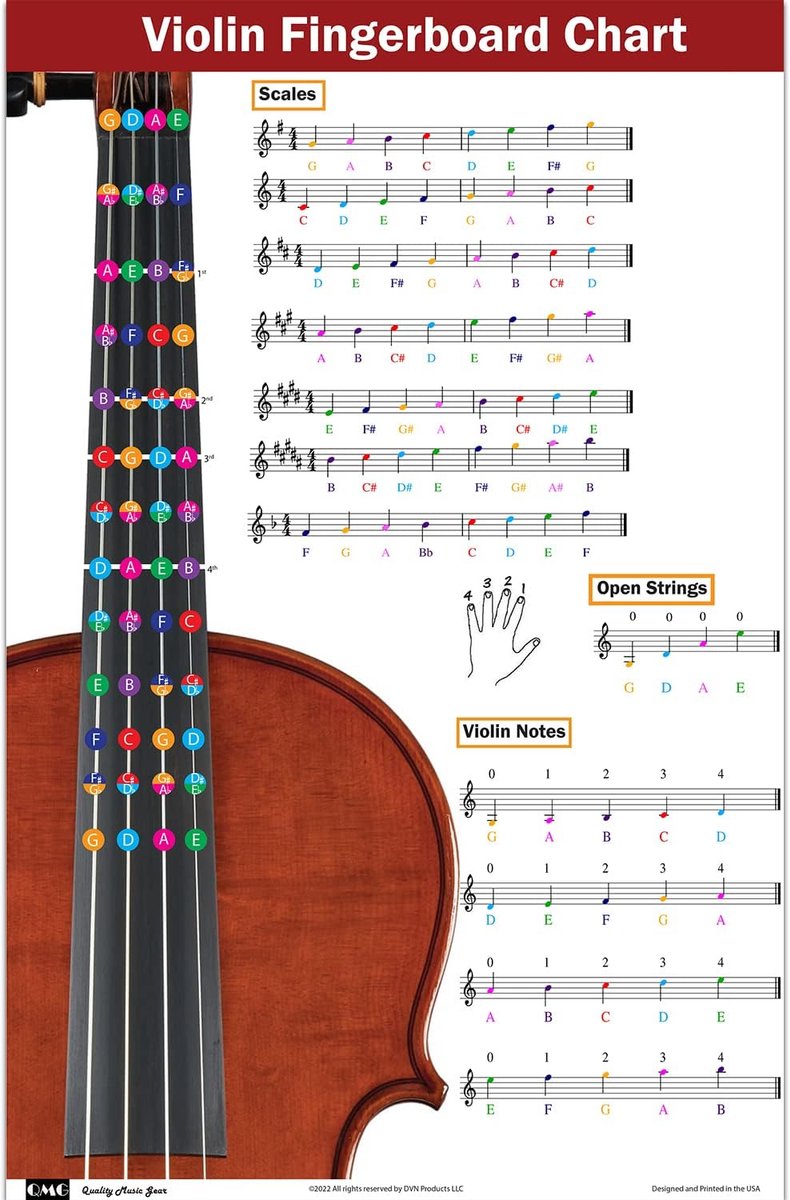 Viool Vingerkaart - Noten Hulpmiddel - Muziek Leren - Kleurgecodeerd - 43x28 cm - Zilver