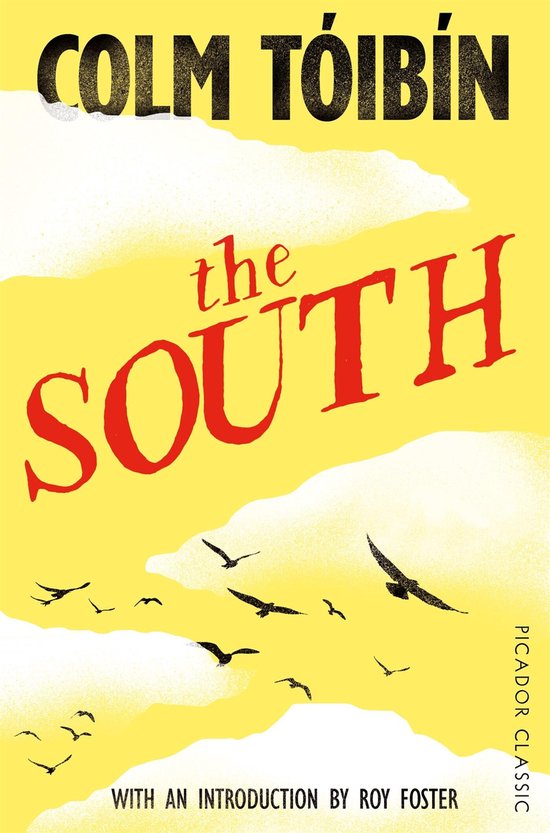 Boek 'The South' van Colm Tóibín, met een gele achtergrond en rode tekst. Een groep vogels vliegt door de lucht.