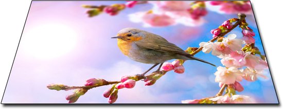 Protecteur induction Papillon - Tapis de protection antidérapant - 60x52 - Petit oiseau