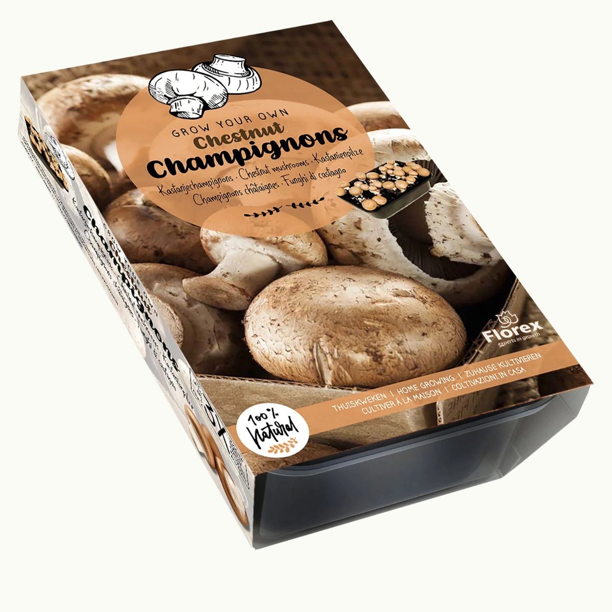 Kweekset Bruine (Kastanje) Champignons - (Ook)-Voor in huis - Moestuin