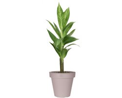 Pro Garden Bloempot - taupe - rond - D50 cm - kunststof - plantenpot - tuin buiten