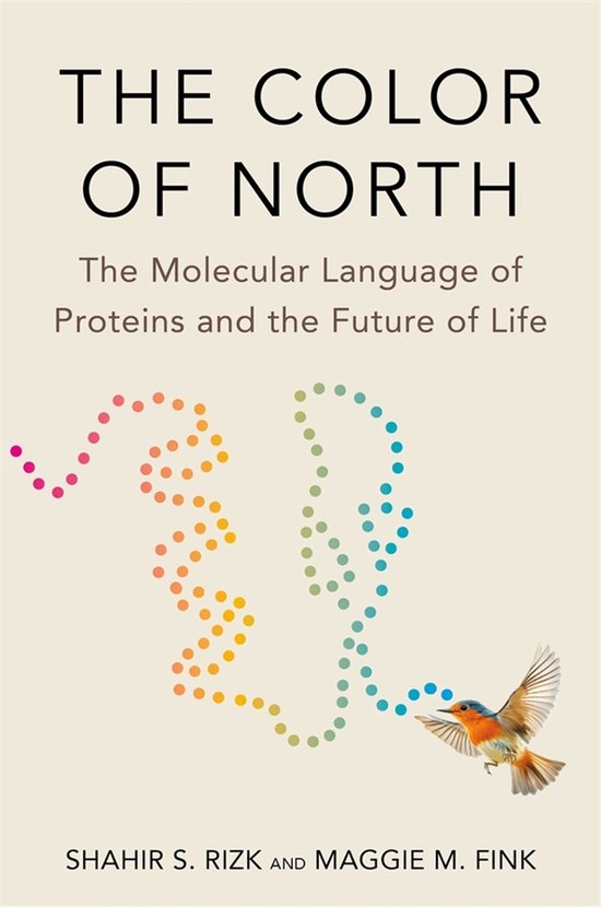The Color of North - cover